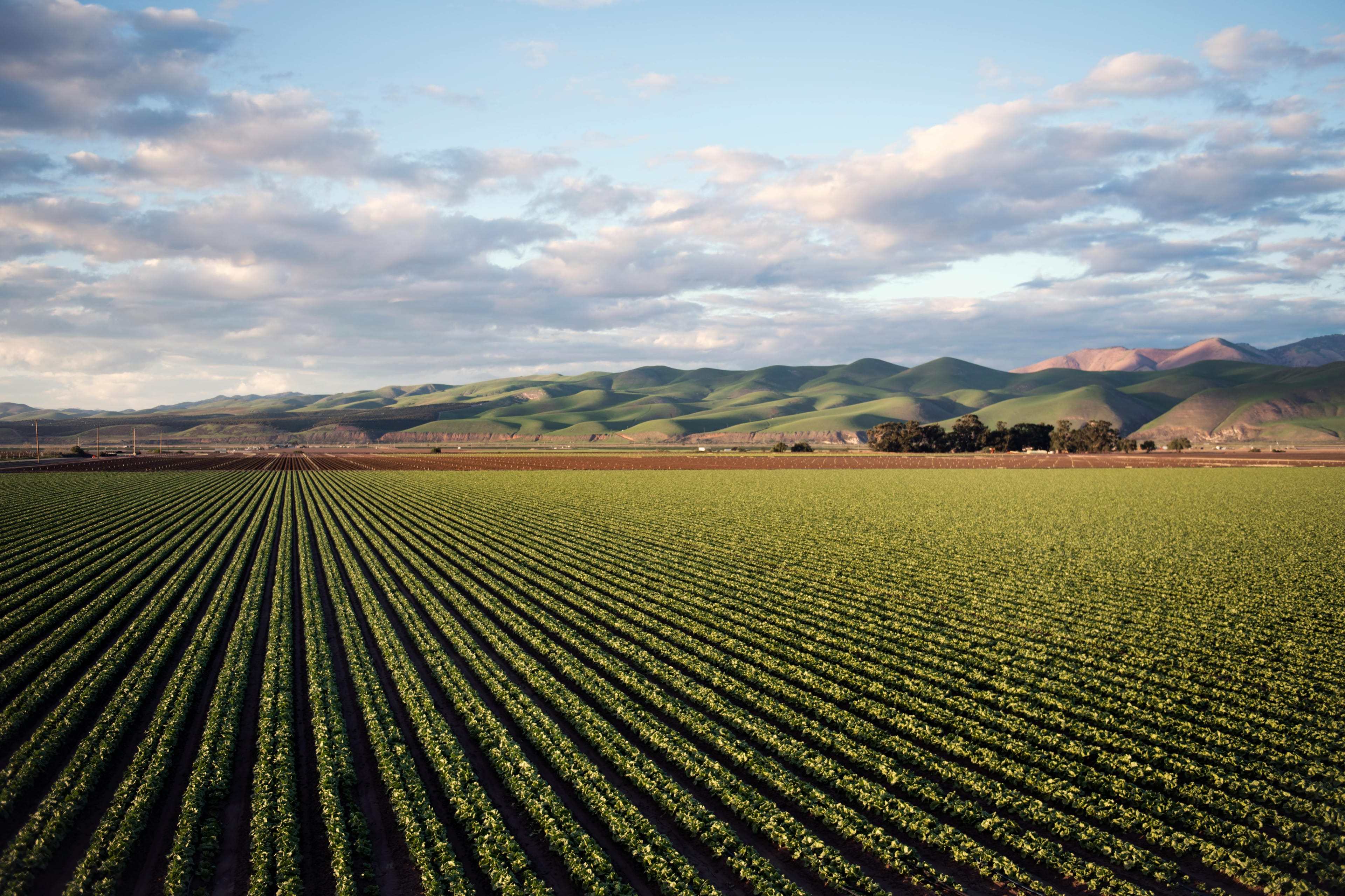 Rural landscape with technology integration